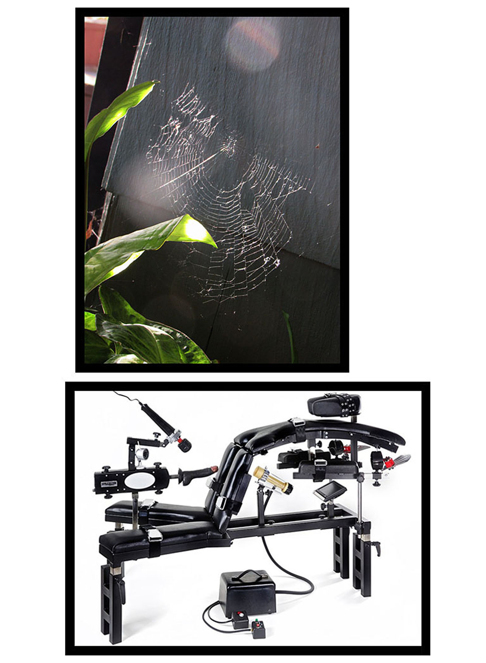 "Spider Web Sex Machine" (2015)